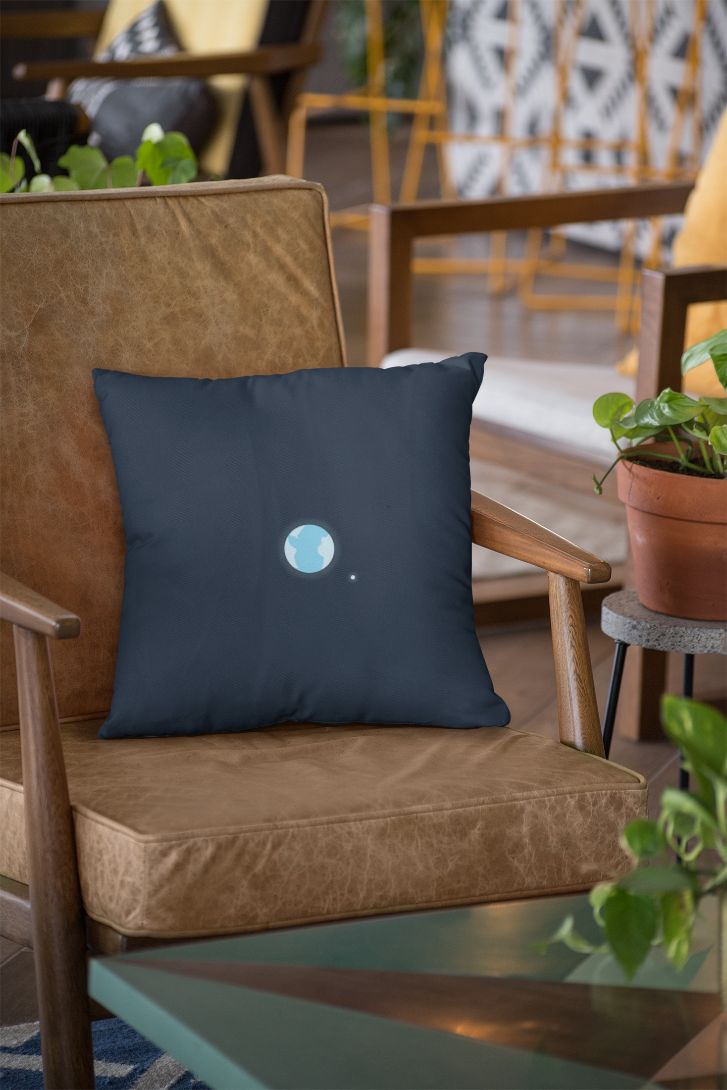 Vym Cushion/Pillow