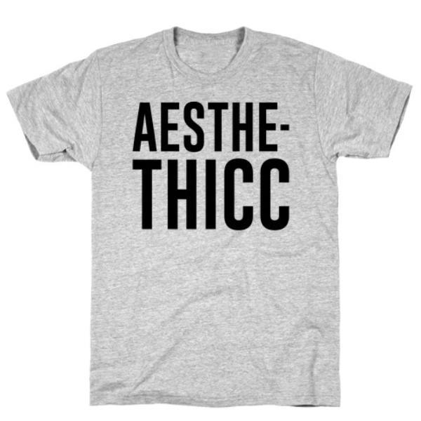 GYM FIT T-SHIRT AESTHETHICC PARODY T-SHIRT