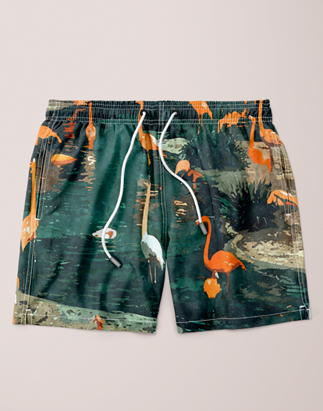 Ayaz Ahmed Shorts SMALL (28"-18") Flamingo Creek Shorts