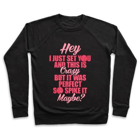 Virgin Teez  Pullover Crewneck Sweatshirt / x-small / Black HEY I JUST SET YOU CREWNECK SWEATSHIRT