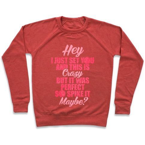 Virgin Teez  Pullover Crewneck Sweatshirt / x-small / Heathered Red HEY I JUST SET YOU CREWNECK SWEATSHIRT