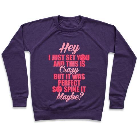 Virgin Teez  Pullover Crewneck Sweatshirt / x-small / Purple HEY I JUST SET YOU CREWNECK SWEATSHIRT