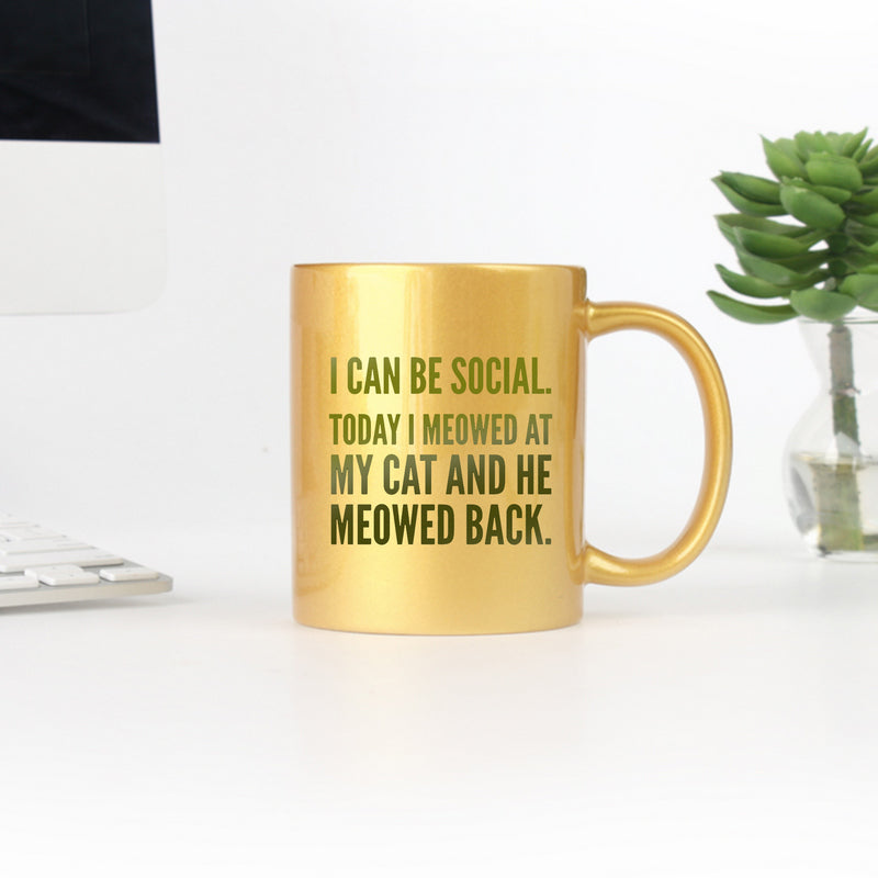 I Can Be Social Today I Meowed At My Cat And He Meowed Back Gold & Silver Mug