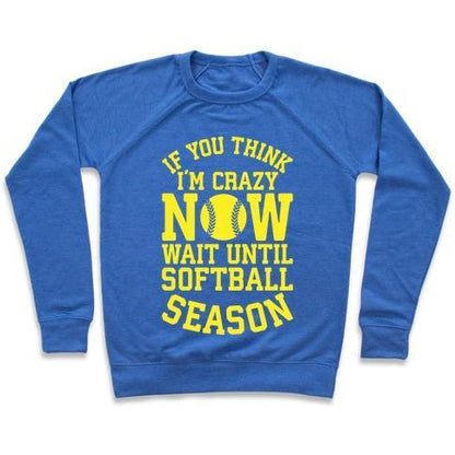 Virgin Teez  Pullover Crewneck Sweatshirt / x-small / Heathered Blue IF YOU THINK I'M CRAZY NOW WAIT UNTIL SOFTBALL SEASON CREWNECK SWEATSHIRT