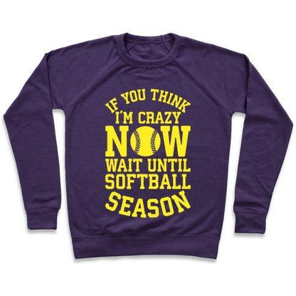 Virgin Teez  Pullover Crewneck Sweatshirt / x-small / Purple IF YOU THINK I'M CRAZY NOW WAIT UNTIL SOFTBALL SEASON CREWNECK SWEATSHIRT