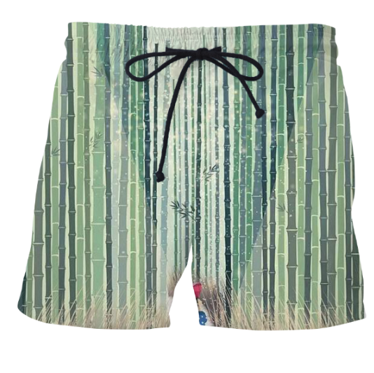 Ayaz Ahmed Shorts 京都市 (Kyoto)  Shorts