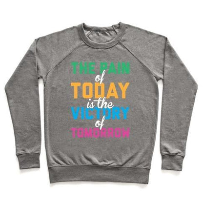 Virgin Teez  Pullover Crewneck Sweatshirt / x-small / Heathered Gray PAIN AND VICTORY CREWNECK SWEATSHIRT