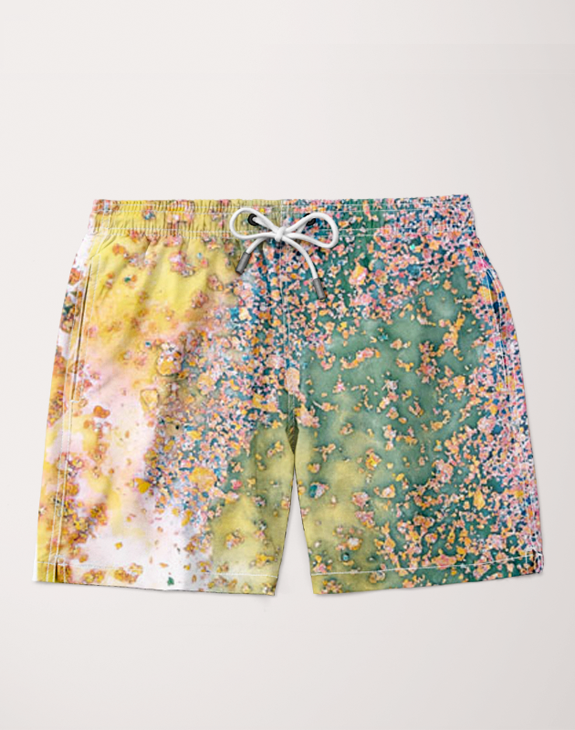 Ayaz Ahmed Shorts SMALL (28"-18") Random Bliss Shorts