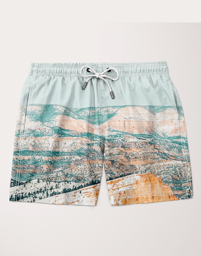 Ayaz Ahmed Shorts SMALL (28"-18") Travel Often Shorts